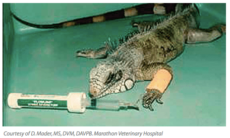 spring-powered-syringe-pump