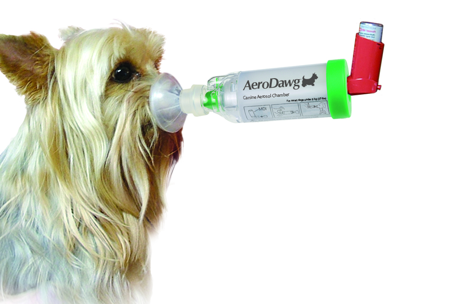 Aerosol Chamber Dog Asthma Medicine Inhaler Spacer Aerosol Chamber