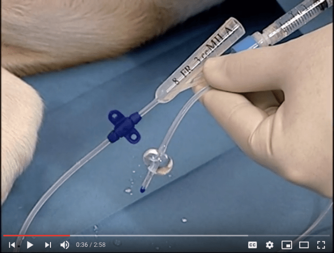 Screenshot 2019-02-10 at 10.32.02 PM