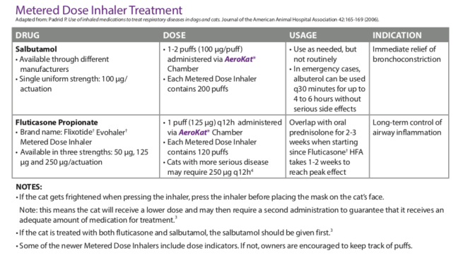 Screenshot 2019-02-11 at 6.18.35 PM