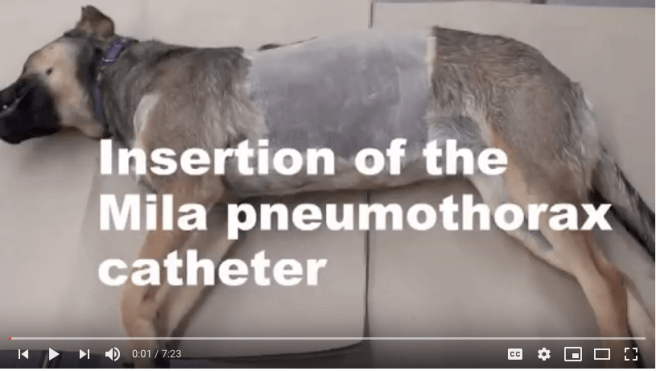 Screenshot 2019-02-11 at 9.24.39 AM