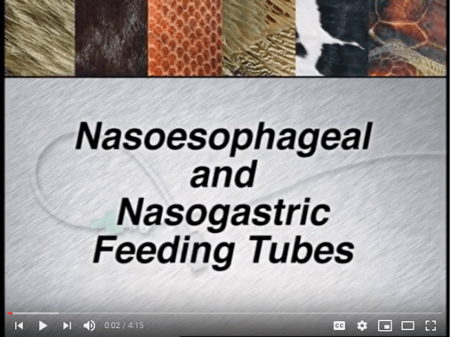 Screenshot 2019-02-11 at 9.31.52 AM