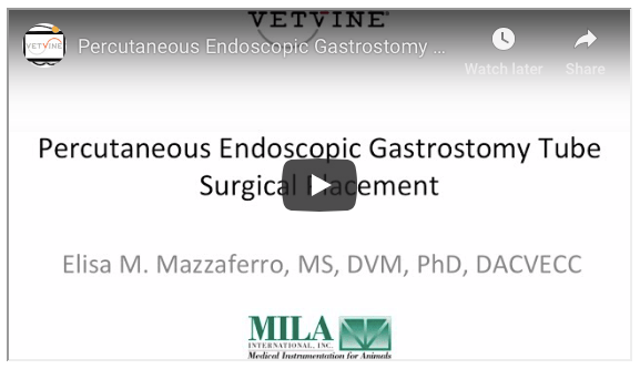 Screenshot 2019-02-11 at 9.36.09 AM