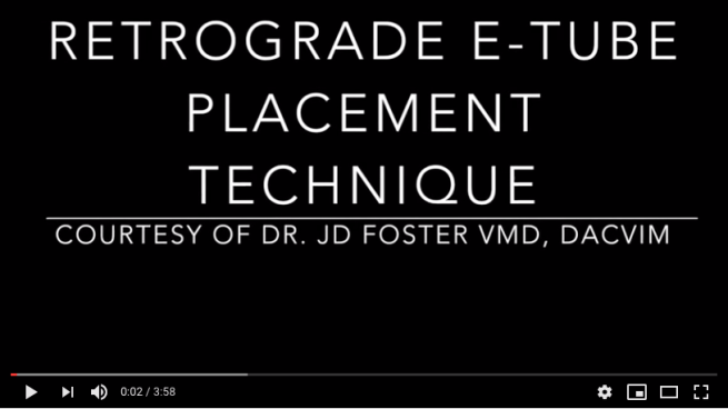 Screenshot 2019-02-11 at 9.41.57 AM