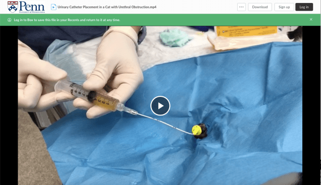 Screenshot 2019-02-11 at 9.54.34 AM