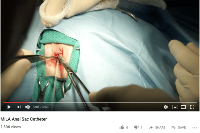 Screenshot 2019-02-11 at 9.58.32 AM