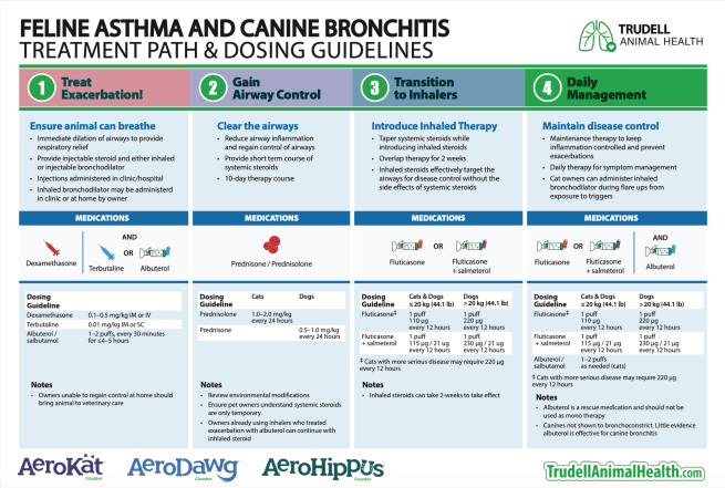 Screenshot 2020-09-11 at 2.39.53 PM